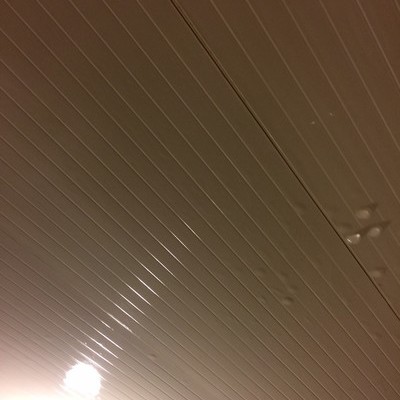 東京都あきる野市　浴室天井のカビ　高圧洗浄　F様