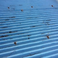 東京都あきる野市　蔦・草の除去と屋根上の落葉清掃　F様